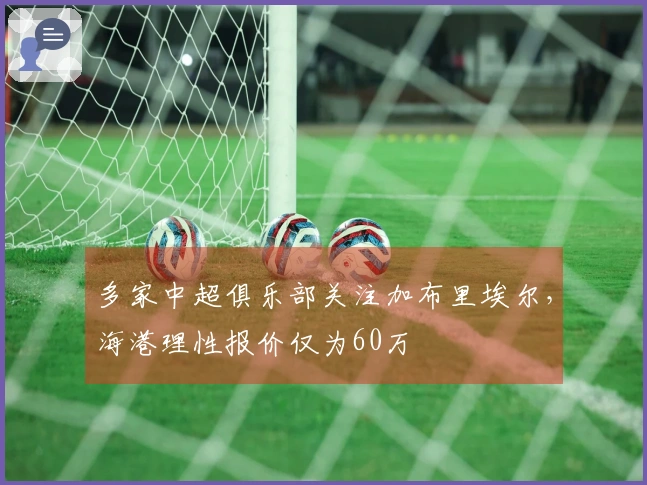 多家中超俱乐部关注加布里埃尔，海港理性报价仅为60万