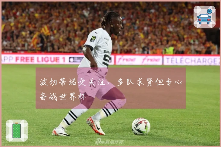波切蒂诺受关注，多队求贤但专心备战世界杯