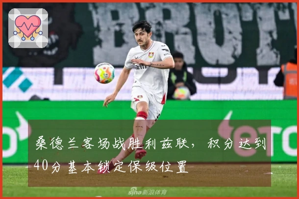 桑德兰客场战胜利兹联，积分达到40分基本锁定保级位置